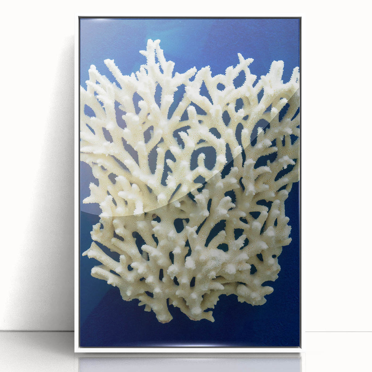 Framed wall art featuring a vibrant botanical marine plants design with intricate floral details, set against a white background, ideal for home decor.