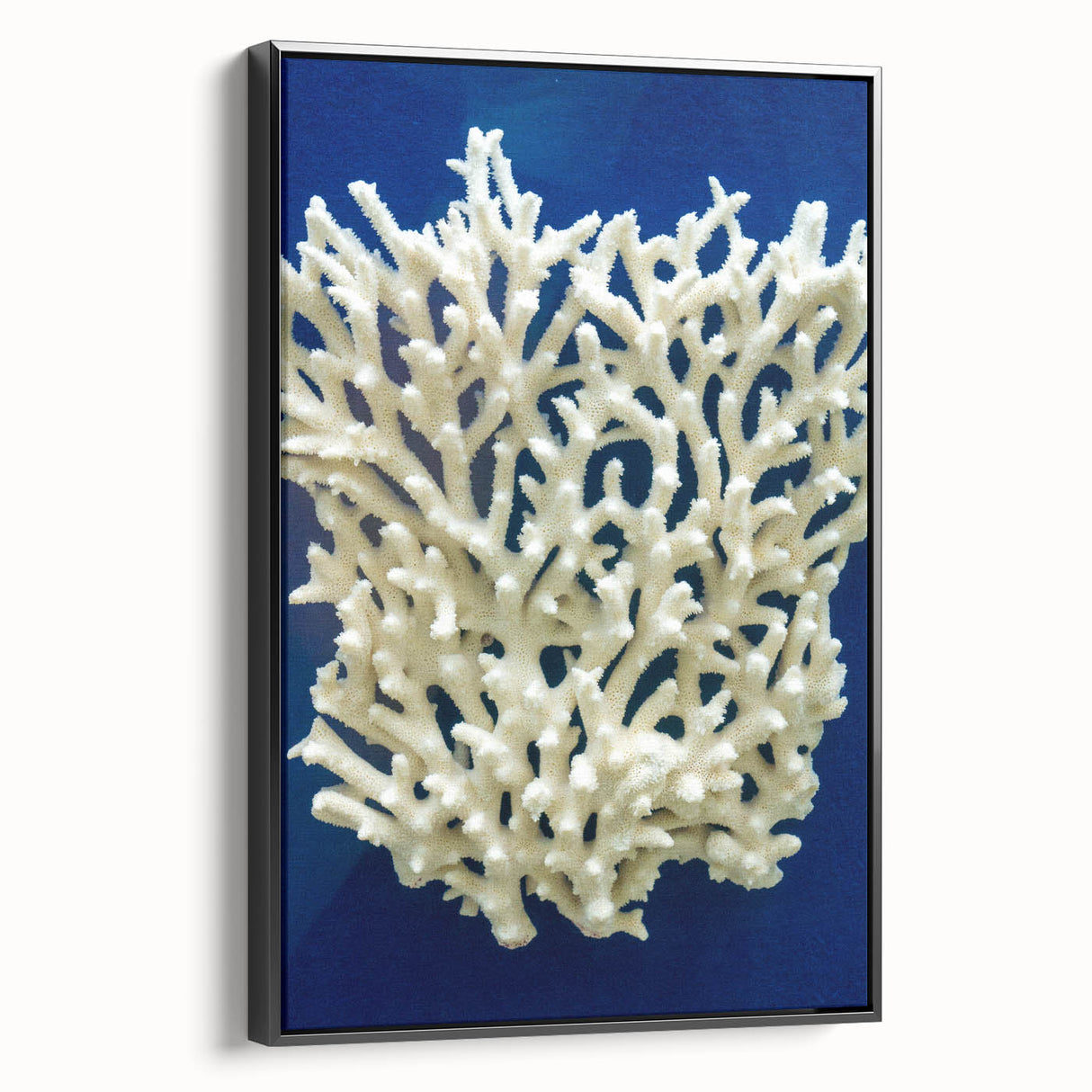 Framed wall art showcasing a botanical design of marine plants, featuring a black frame and vibrant colors that enhance any decor. Ideal for nature lovers and home decoration.
