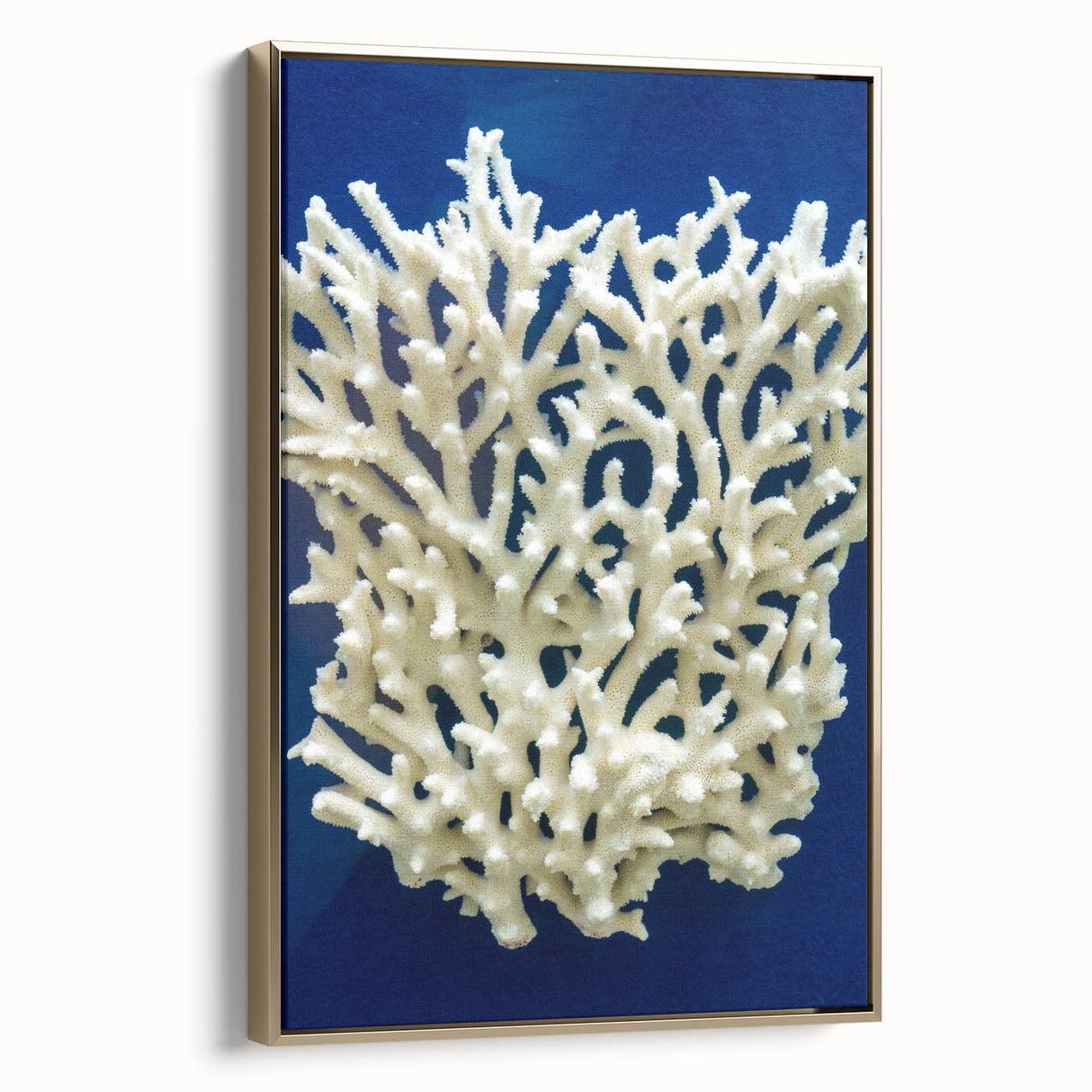Framed botanical wall art featuring vibrant marine plants in gold accents, showcased from a side view. Perfect for enhancing modern interiors and nature-themed decor.