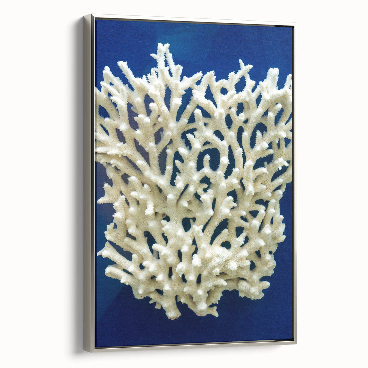 Framed canvas wall art showcasing a botanical marine plants design, featuring vibrant colors and intricate details, elegantly displayed with a sleek silver frame.