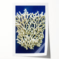 Rolled botanical wall art print showcasing vibrant marine plants in intricate detail, designed for a stylish decor accent. Perfect for nature enthusiasts.