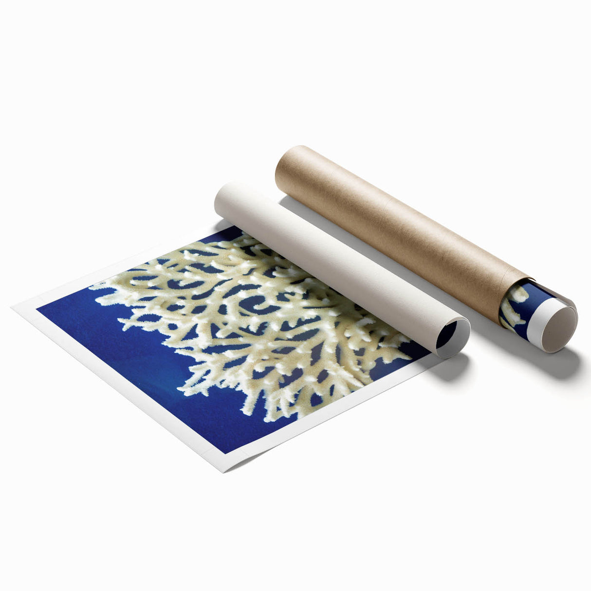 Botanical wall art print featuring vibrant marine plants in shades of blue and green, rolled and ready for framing, ideal for home decor enthusiasts.