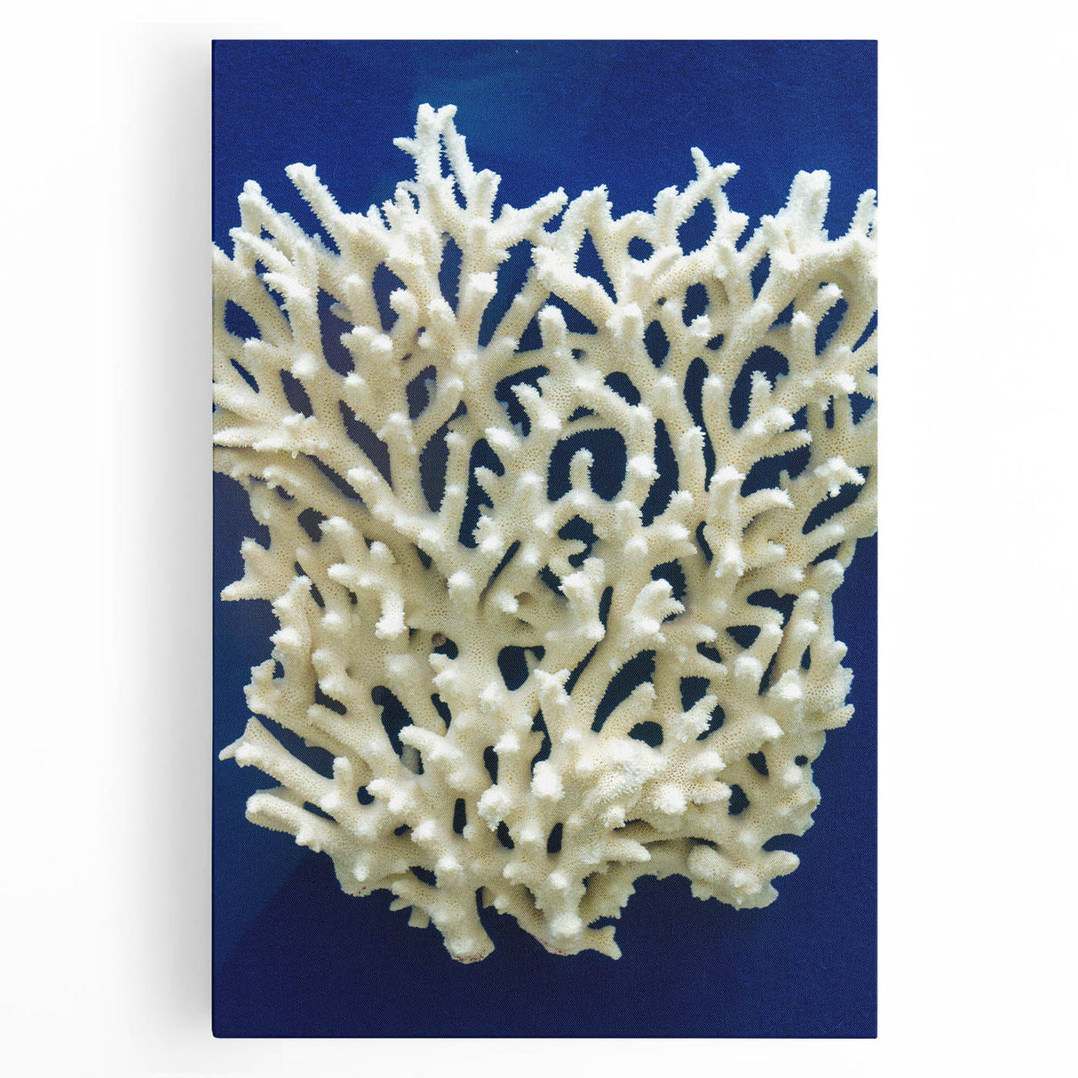 Botanical wall art featuring a vibrant marine plants design on stretched canvas, showcasing intricate floral details in rich colors, ideal for home decor.