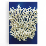 Botanical wall art featuring a vibrant marine plants design on stretched canvas, showcasing intricate floral details in rich colors, ideal for home decor.