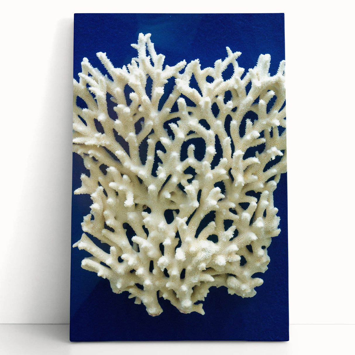 Stretched canvas wall art showcasing a vibrant botanical marine plants design with colorful flowers against a soft blue background, perfect for coastal decor.