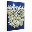 Stretched canvas wall art showcasing a vibrant botanical design of marine plants, featuring intricate details and rich colors, ideal for coastal-themed decor.