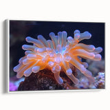 Framed canvas wall art showcasing a vibrant botanical design of marine plants, set against a white background, ideal for coastal decor enthusiasts.