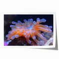 Botanical wall art print showcasing vibrant marine plants with intricate details, rolled and ready for framing, perfect for enhancing home decor.