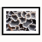 Botanical wall art print showcasing a vibrant marine plants design in a sleek black frame with a mat, ideal for enhancing home decor with a natural aesthetic.