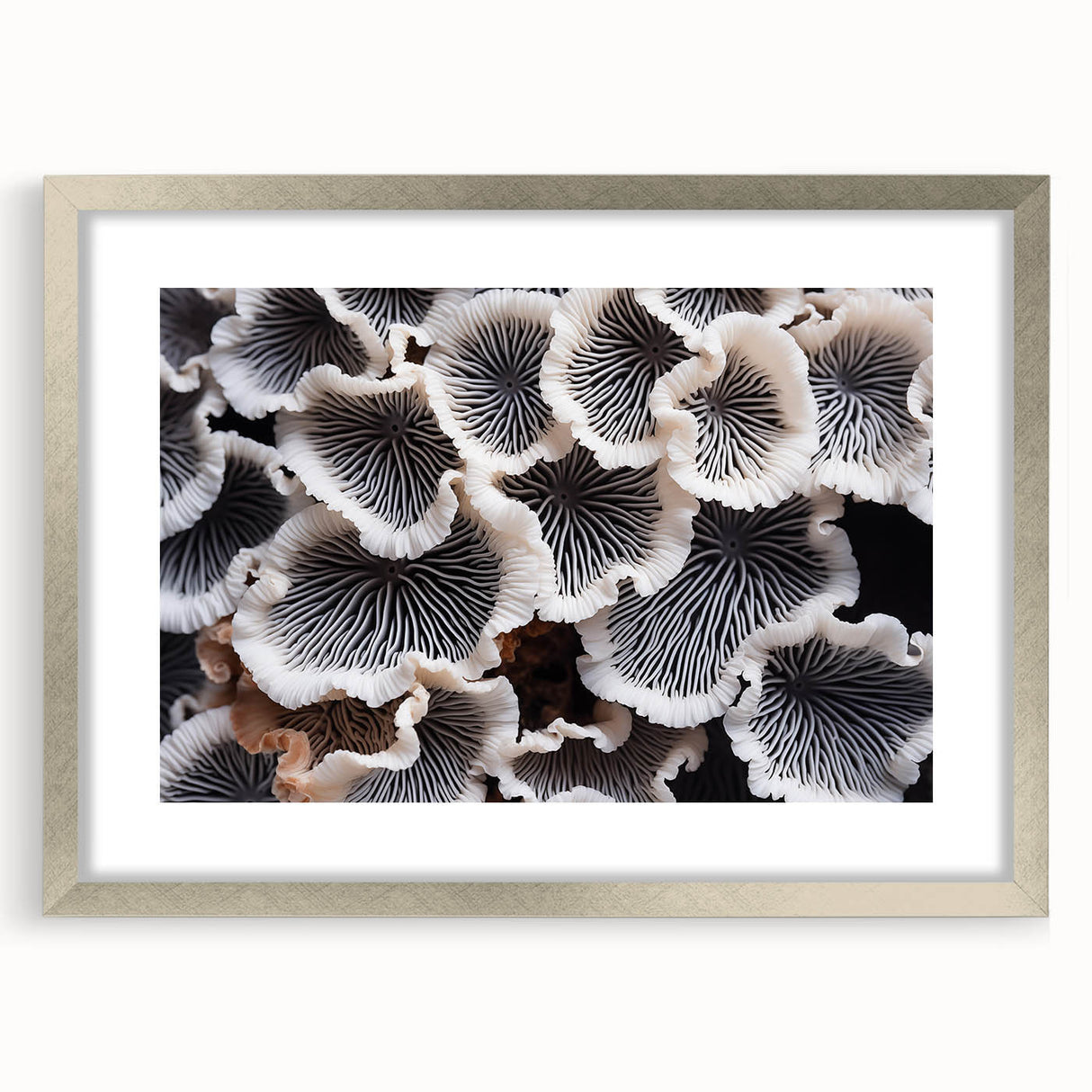 Framed botanical wall art print showcasing vibrant marine plants in a silver frame with a white mat, ideal for coastal home decor and nature enthusiasts.