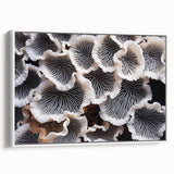Framed wall art featuring a botanical marine plant design, showcasing vibrant colors and intricate details, set against a white background for a modern touch.