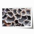 Botanical wall art print featuring vibrant marine plants in detailed illustrations, rolled for easy display. Ideal for nature lovers and home decor enthusiasts.