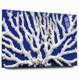 Acrylic glass wall art collection showcasing vibrant botanical marine plants in a modern design, displayed from a side view, perfect for home decor.