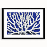 Botanical wall art collection featuring vibrant marine plants in a sleek black frame with a mat, displayed against a neutral background, ideal for coastal decor.