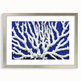 Botanical marine plants wall art collection featuring intricate floral designs in vibrant colors, framed in silver with a mat, ideal for home decor enhancement.