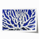 Botanical wall art print featuring a vibrant marine plant design in shades of blue and green, rolled for easy framing and display. Perfect for nature lovers and home decor enthusiasts.