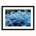 Botanical wall art featuring a stunning marine plants design, elegantly framed with a black mat, ideal for enhancing home decor and bringing nature indoors.