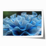 Botanical marine plants wall art print featuring a vibrant underwater scene with detailed illustrations of various aquatic flora, rolled and ready for framing. This design adds a touch of nature-inspired elegance to any space.