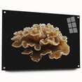 Acrylic wall art collection showcasing a vibrant botanical design of marine plants, elegantly displayed from a side view with pins, ideal for modern decor.