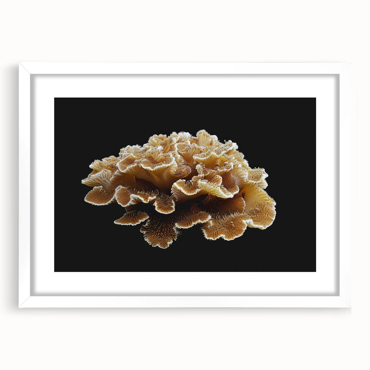 Botanical marine plants wall art design featuring vibrant, detailed floral illustrations in a white frame with a mat, perfect for home decor enhancement.