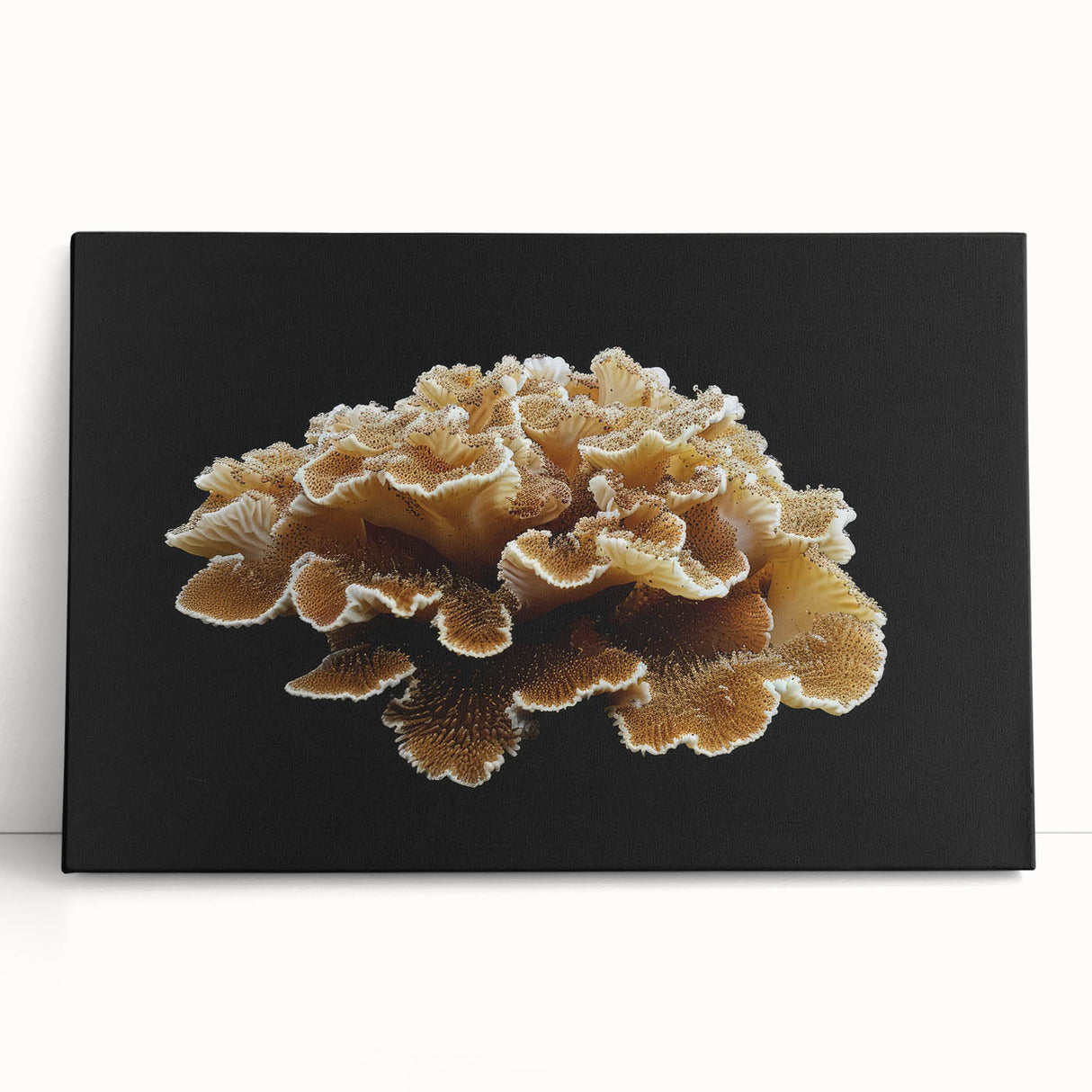 Stretched canvas wall art showcasing vibrant botanical marine plants in a colorful design, perfect for home decor or beach-themed interiors, leaning against a wall.