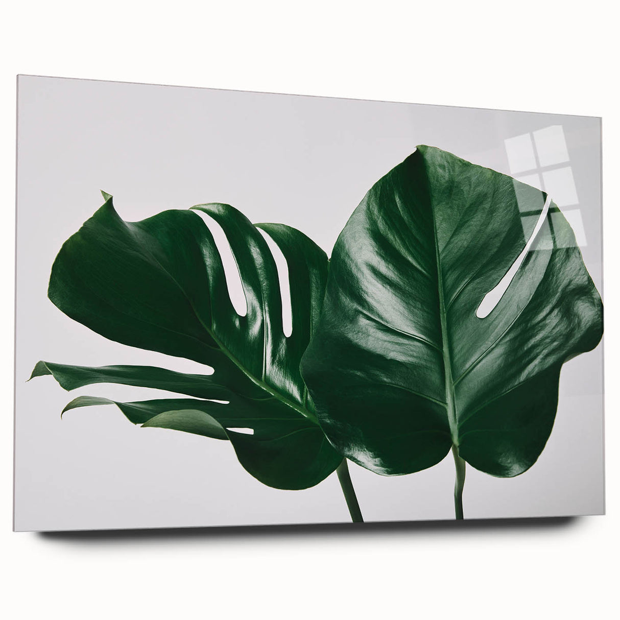 Acrylic glass wall art showcasing a vibrant monstera leaf botanical design, displayed from a side view, emphasizing its sleek finish and modern aesthetic. Perfect for adding a touch of nature-inspired decor to any room.