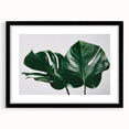 Botanical monstera wall art design framed with a sleek black mat, showcasing vibrant green leaves against a clean white background, perfect for modern decor.