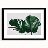 Botanical monstera wall art design framed with a sleek black mat, showcasing vibrant green leaves against a clean white background, perfect for modern decor.