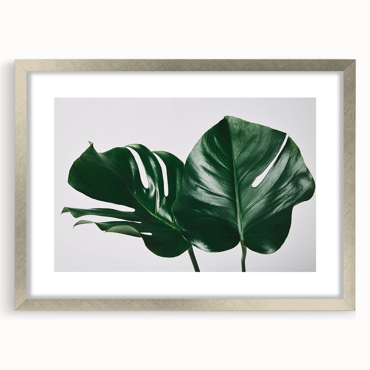 Botanical wall art featuring a Monstera plant design in a silver frame with a mat, showcasing vibrant green leaves against a neutral background, perfect for home decor.