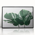 Framed acrylic wall art showcasing a botanical monstera design, featuring vibrant green leaves against a sleek black background, ideal for modern home decor.