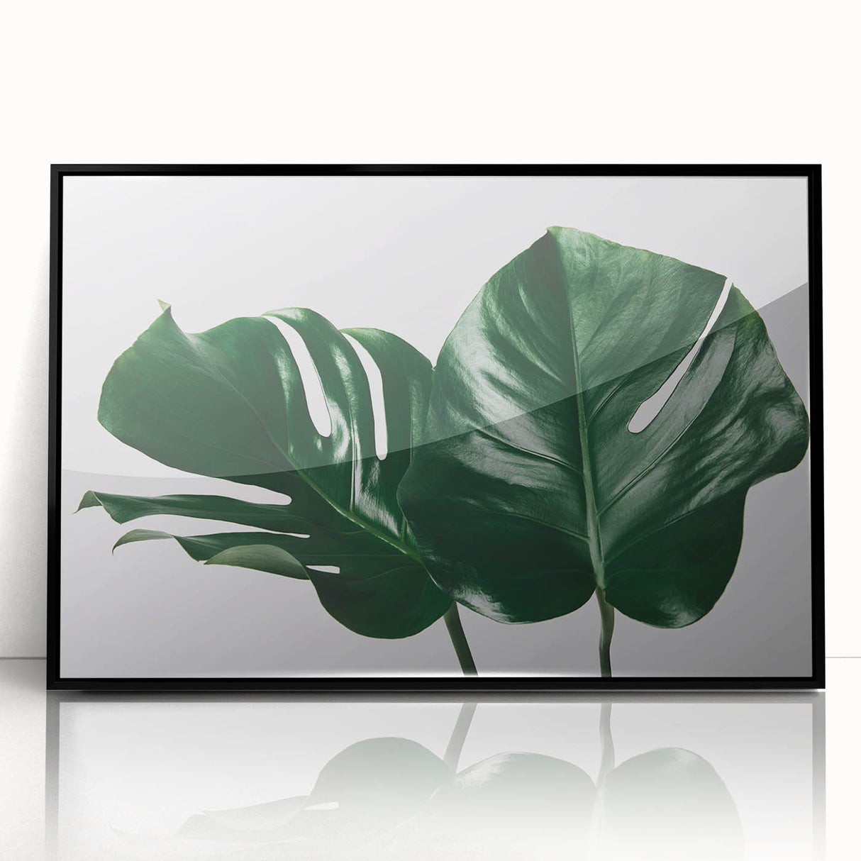 Framed acrylic wall art showcasing a botanical monstera design, featuring vibrant green leaves against a sleek black background, ideal for modern home decor.