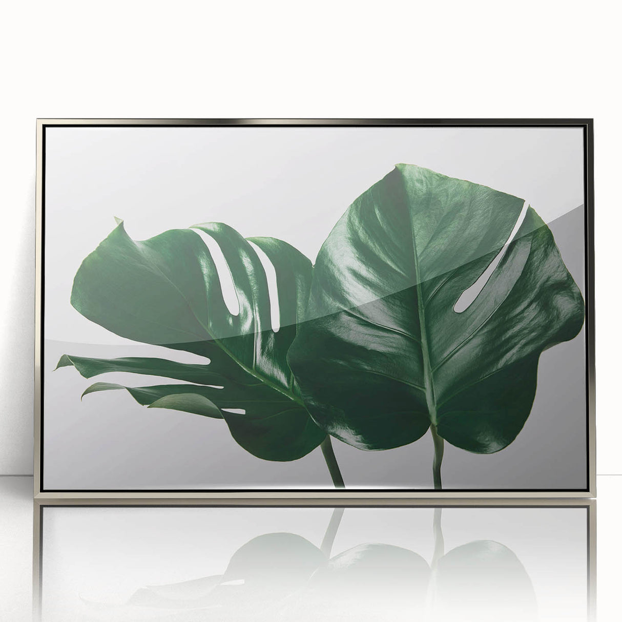 Framed wall art featuring a vibrant botanical monstera design with silver accents, showcasing lush green leaves on a white background, perfect for modern decor.