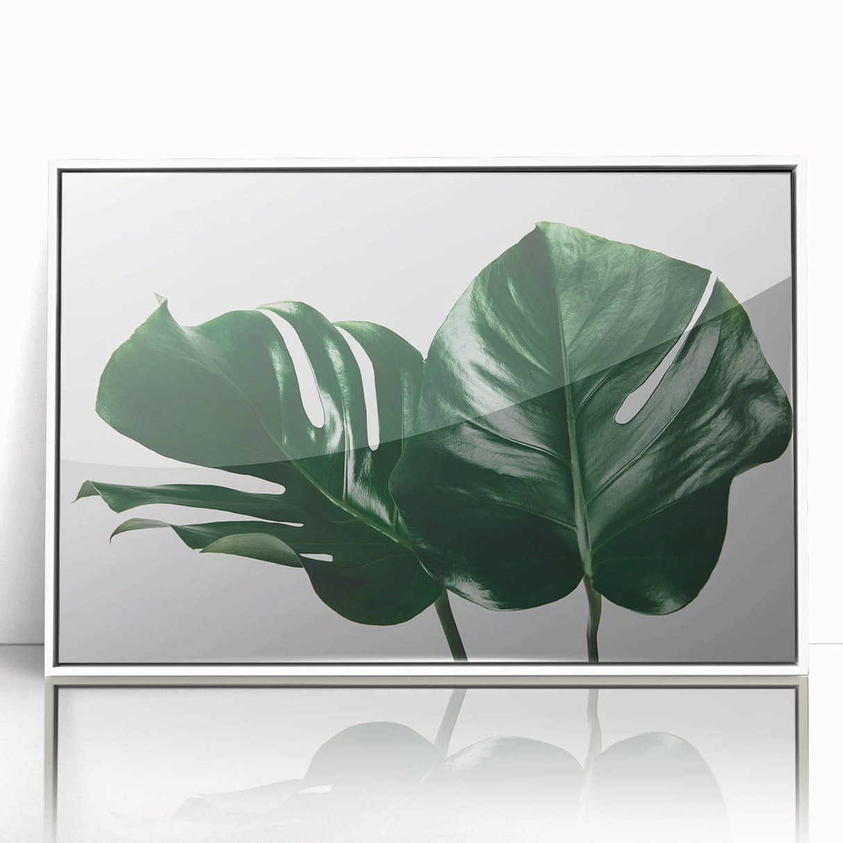 Framed botanical wall art featuring a vibrant monstera leaf design, set in a sleek white frame, ideal for modern home decor and plant enthusiasts.