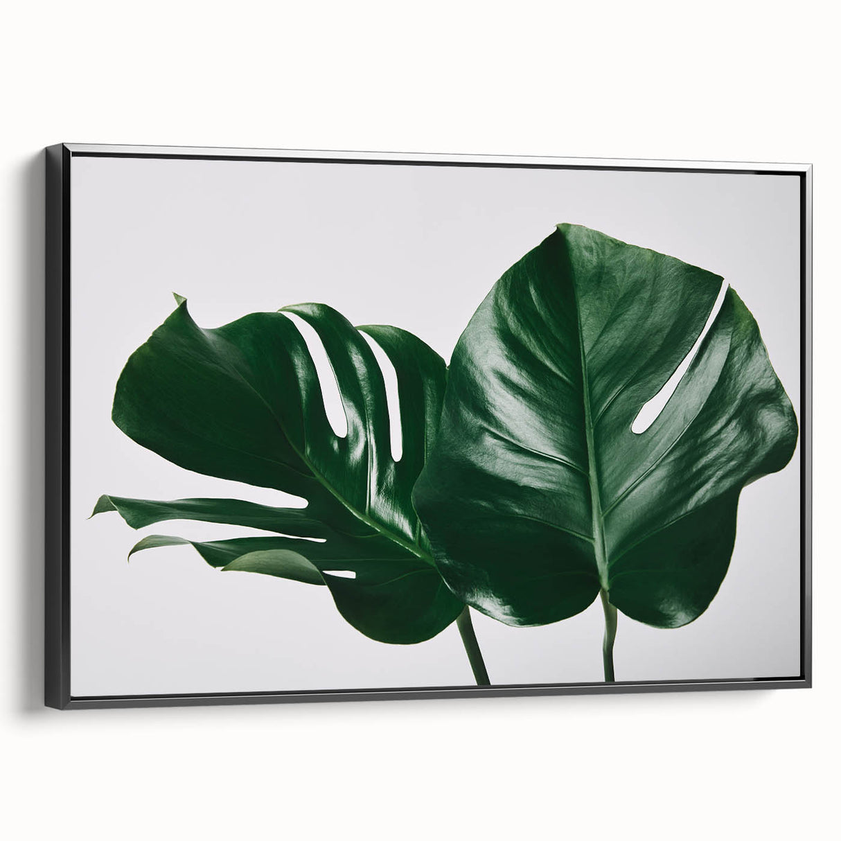 Framed canvas wall art showcasing a vibrant botanical monstera design, featuring lush green leaves against a sleek black background, ideal for modern decor.