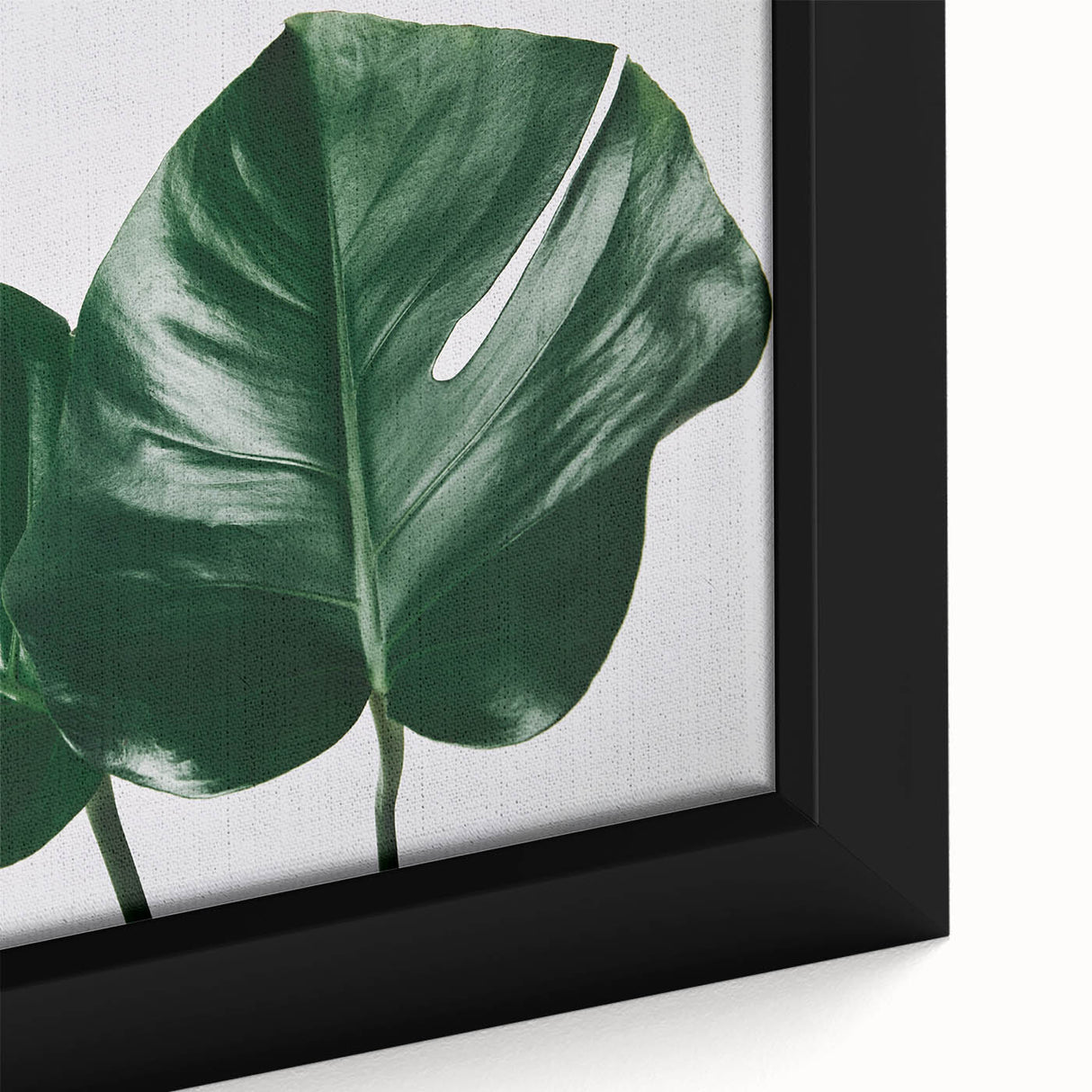 Close-up of a framed canvas wall art featuring a vibrant Monstera plant design, showcasing rich green hues and intricate botanical details, perfect for home decor.
