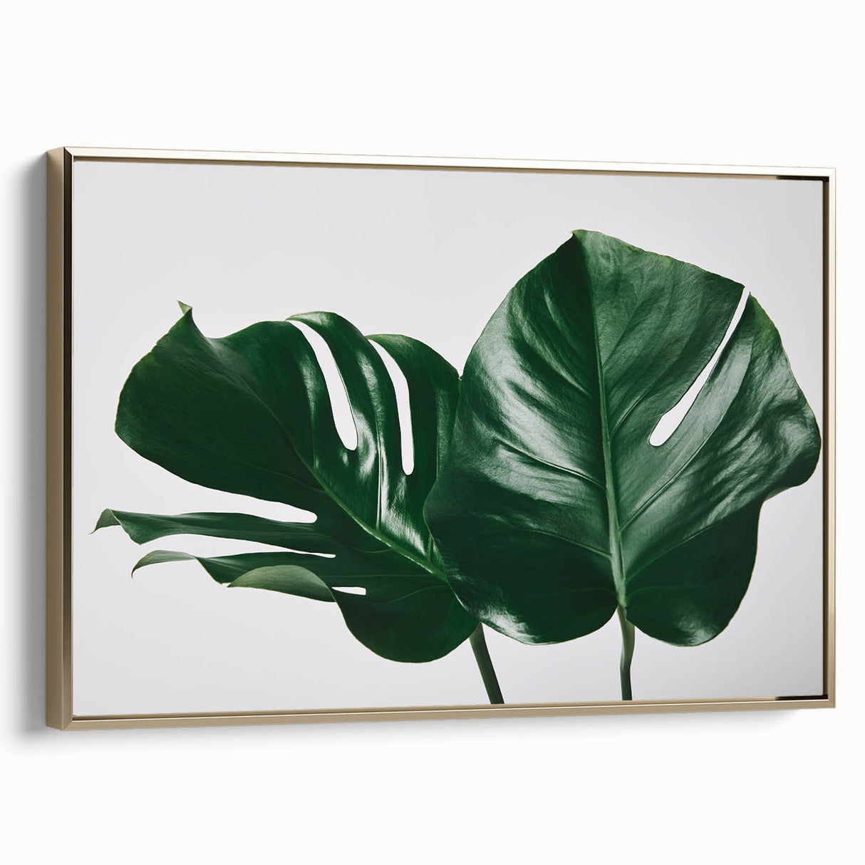 Framed canvas wall art showcasing a botanical monstera design with gold accents, set against a neutral background, perfect for modern decor enthusiasts.