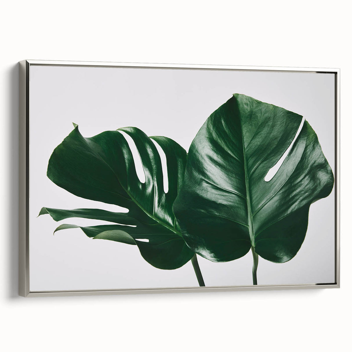 Framed botanical wall art showcasing a vibrant Monstera plant design on canvas, featuring a sleek silver frame. Ideal for modern home decor and nature enthusiasts.