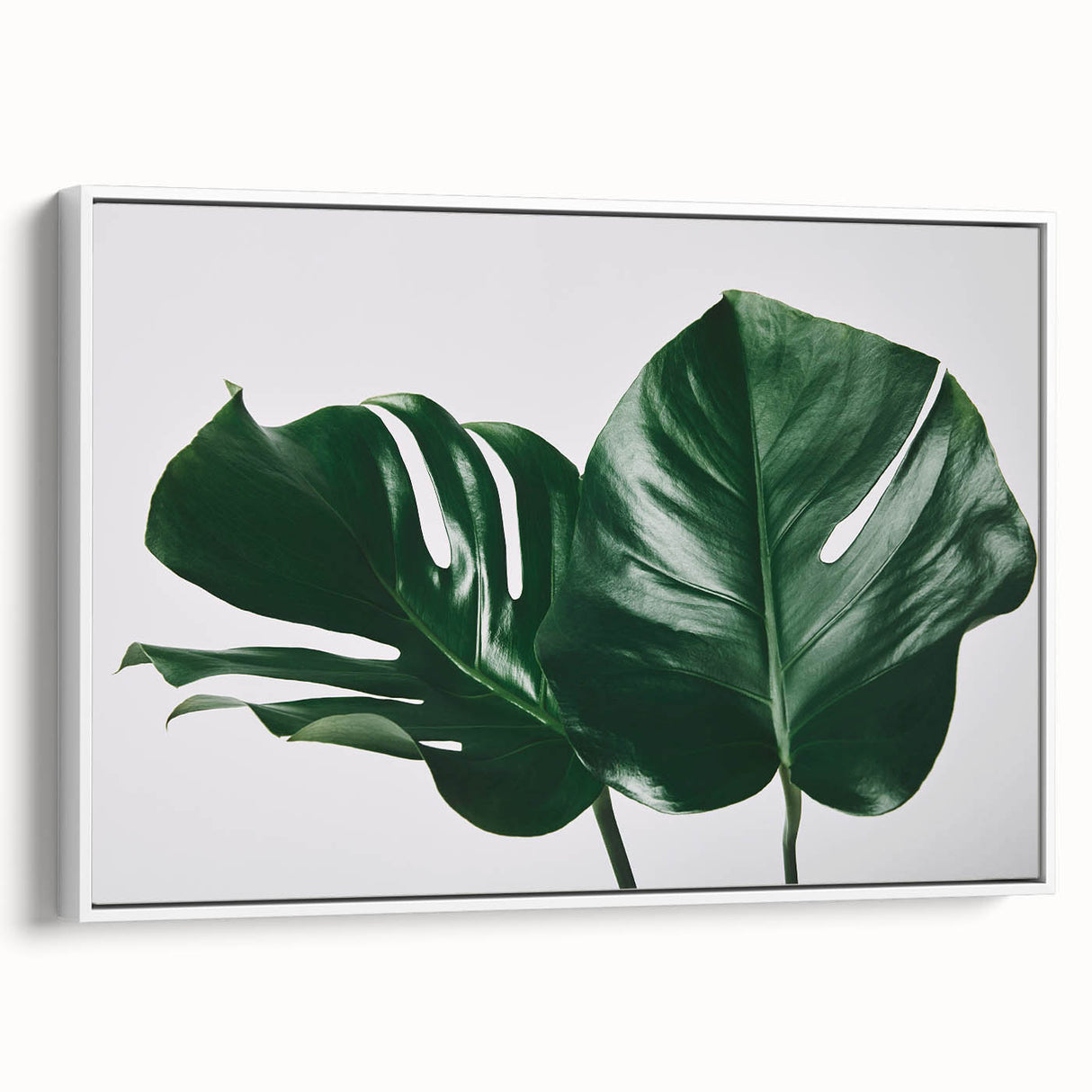 Framed wall art canvas featuring a botanical monstera design, showcasing lush green leaves against a white background, perfect for home decor.
