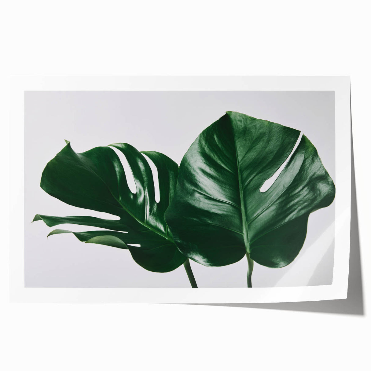 Botanical wall art print featuring a vibrant monstera leaf design, showcasing lush green hues against a neutral background, ideal for modern decor styles.