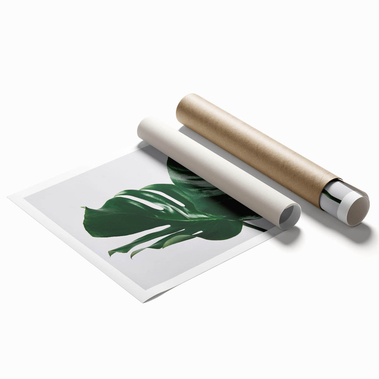 Botanical wall art print showcasing a vibrant Monstera leaf design in shades of green, elegantly rolled for easy framing or display, ideal for nature-themed decor.