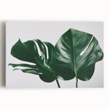 Stretched canvas featuring a vibrant botanical monstera design, showcasing lush green leaves against a neutral background, perfect for modern home decor.