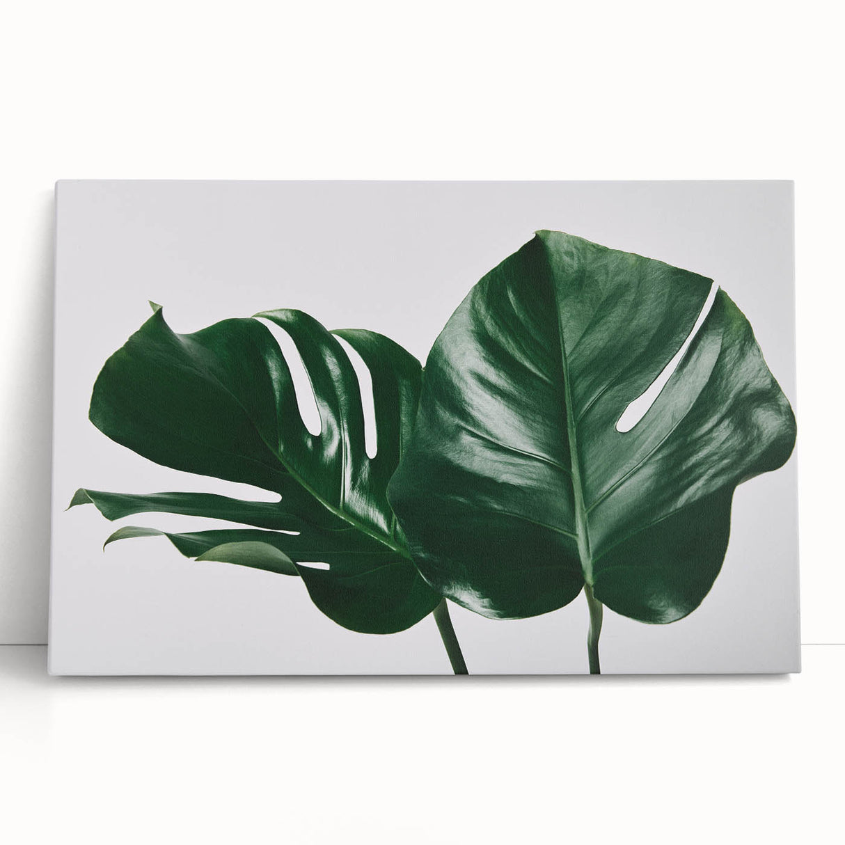 Botanical wall art featuring a vibrant Monstera leaf design printed on stretched canvas, leaning against a neutral background, ideal for home decor enthusiasts.