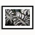 Botanical wall art featuring a Monstera leaf design framed in black with a white mat, perfect for enhancing modern home decor. Ideal for plant lovers and interior design enthusiasts.