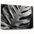 Acrylic wall art print featuring a vibrant botanical monstera design, displayed in a side view with decorative pins for easy hanging, perfect for modern interior decor.