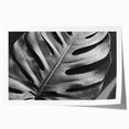 Botanical monstera wall art print showcasing vibrant green leaves against a white background, rolled for easy framing and display in home decor settings.