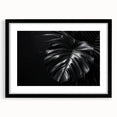 Botanical wall art featuring a Monstera design, framed in black with a mat, showcasing vibrant green leaves against a white background, ideal for modern decor.