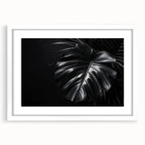 Botanical wall art featuring a Monstera design in a sleek white frame with a matte finish, ideal for modern home decor and nature-inspired interiors.