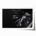 Botanical wall art print featuring a vibrant Monstera leaf design in shades of green, elegantly rolled for easy display and storage, perfect for home decor.