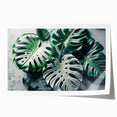 Botanical wall art print showcasing a vibrant Monstera leaf design in lush green tones, ideal for home decor or plant-themed interiors, rolled for easy framing.