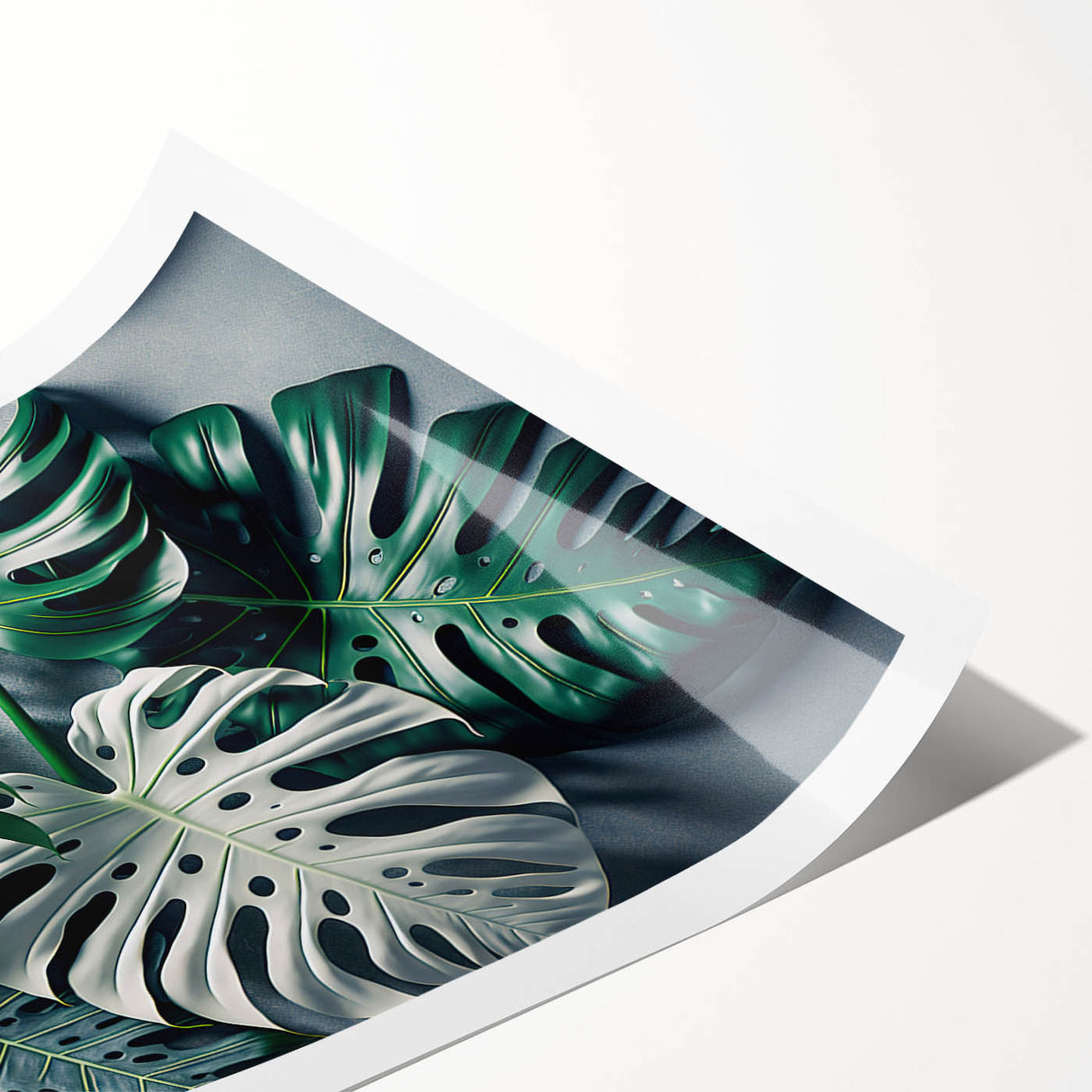 Botanical wall art print showcasing a detailed Monstera leaf design in vibrant greens, rolled and packaged securely in a cardboard tube for safe delivery.